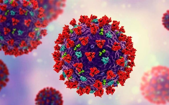 Fiji News: COVID-19 death toll at 535