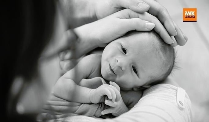 Covid-specific antibodies remain in breast milk for 10 months post infection