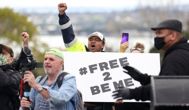 Court summons issued following gathering at Auckland Domain