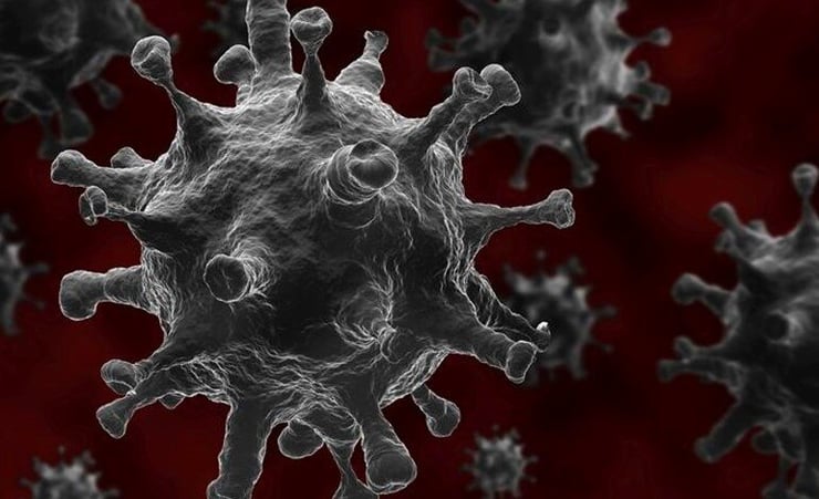 Covid-19 update: 39 new cases in the community, including nine in Waikato