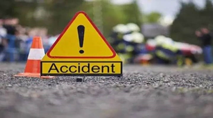Driver dies after truck rolls off road