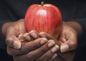 Health and wellbeing community day