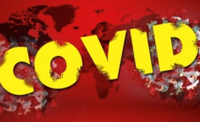 Scientists targeted with abuse, death threats during pandemic