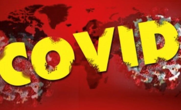 Scientists targeted with abuse, death threats during pandemic