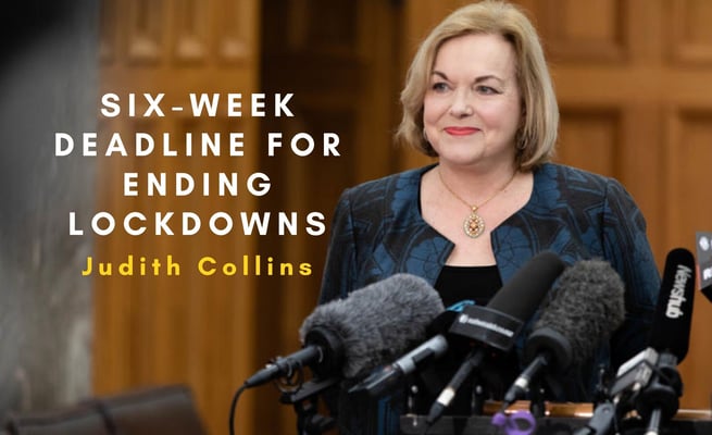 National has a plan to end lockdowns