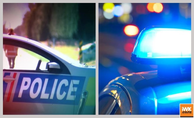 Woman crushed, police car attacked after car event in New Plymouth