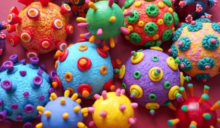 Proteins in Covid virus that damage blood vessels found