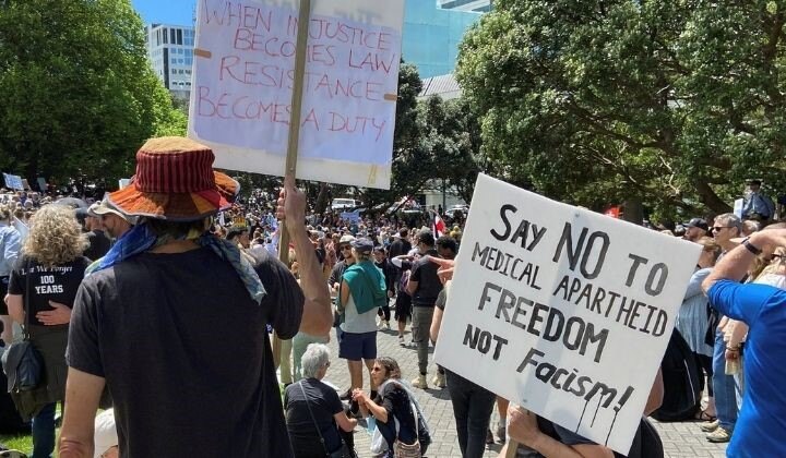 Week in Politics: Will 1 December be Auckland's 'Freedom Day'?