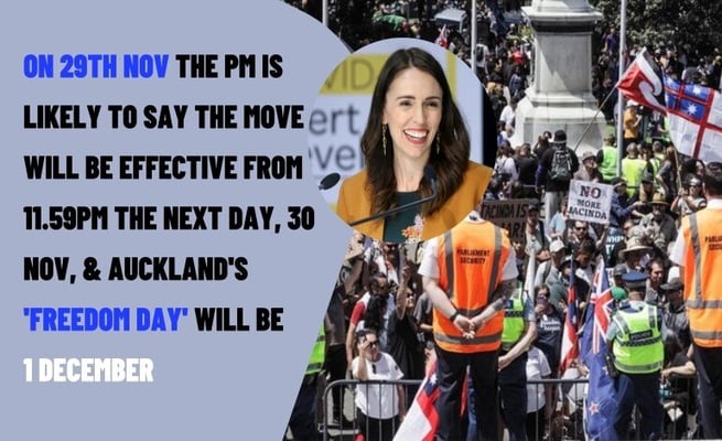 Week in Politics: Will 1 December be Auckland's 'Freedom Day'?