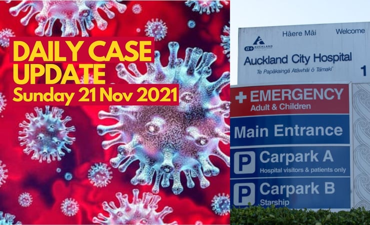 Daily new Covid cases in New Zealand