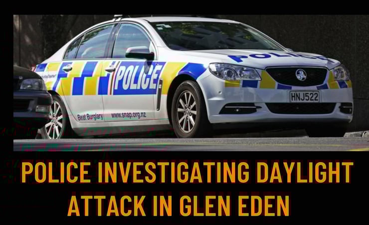Police investigating an attack in Glen Eden