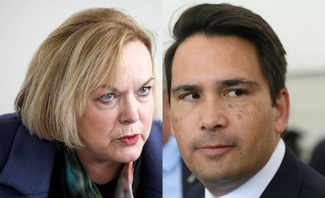 Opinion: Collin’s strikes at night demote Simon Bridges –A pre-emptive strike or punitive action?