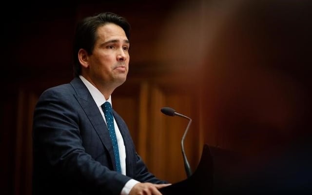 Voter reaction to leadership fiasco: 'The National Party are a lost soul'