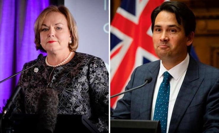 Judith Collins and Simon Bridges should consider leaving Parliament - Christopher Finlayson