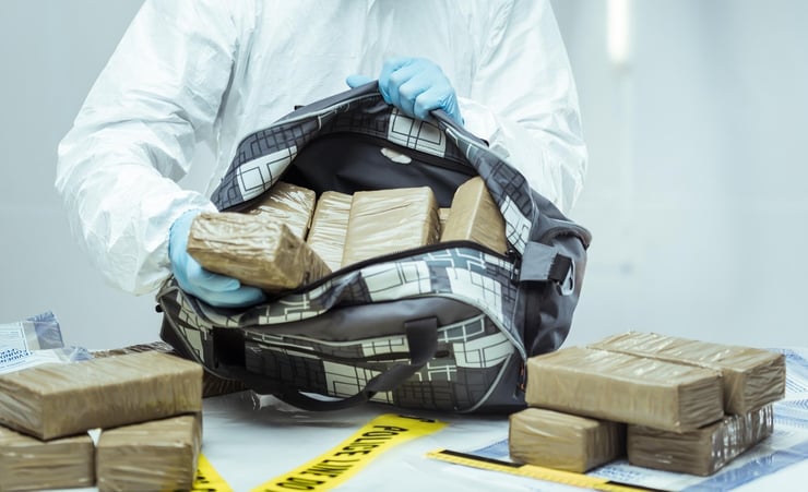 Drug smuggling bust: Six Air New Zealand workers, three King Cobra members charged