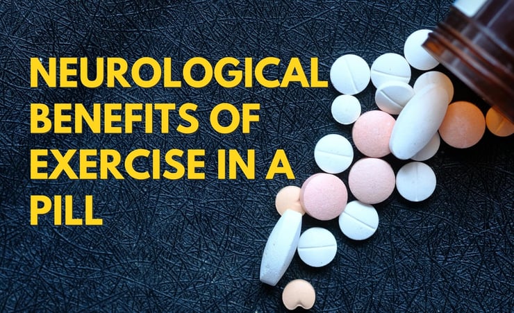 Australian scientists make breakthrough on exercise pill