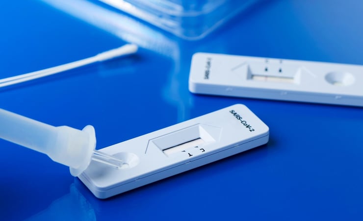 Covid-19: Rapid antigen testing to be free for some domestic travellers over summer