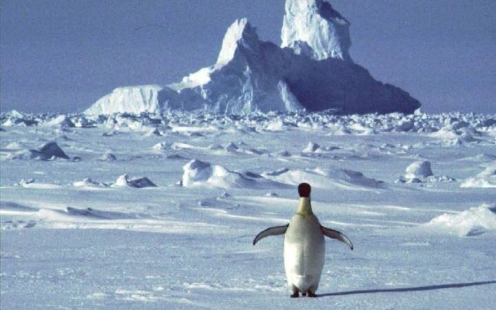 Indian scientists reveal new layer of monsoon circulation's link to Antarctica