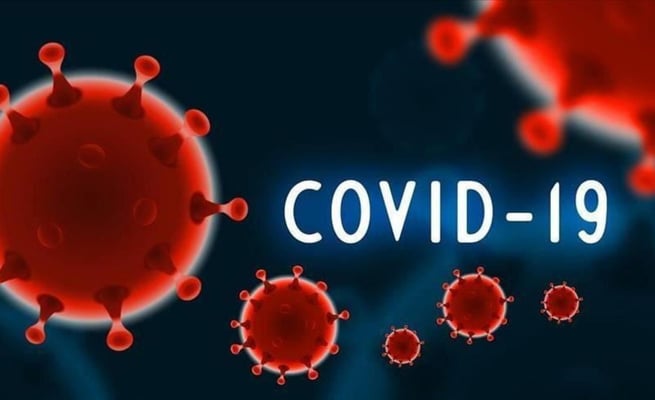 323.1 mn cases of Covid 19 worldwide so far