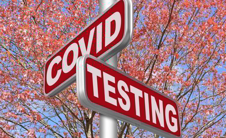 Omicron: Modelling suggests NZ could face peak of 80,000 daily infections
