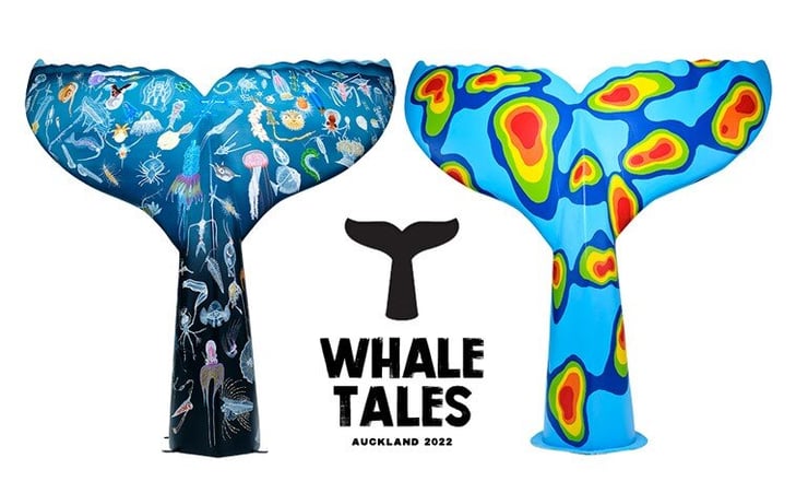 Whale Tales: Kiwi-Indian artists create for marine conservation