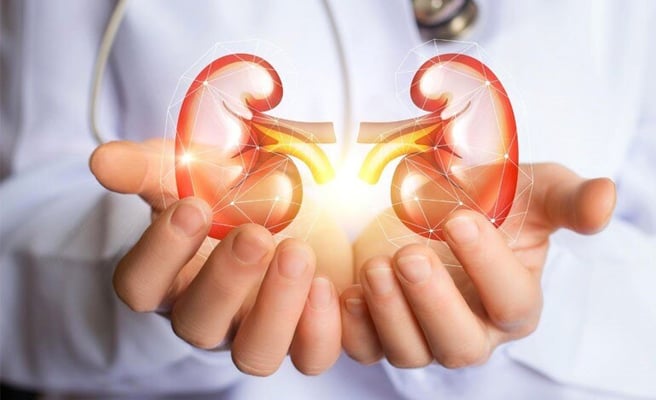 How US researchers performed pig kidney transplant in human patient