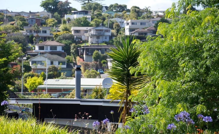 Tighter lending among factors slowing house price growth - REINZ
