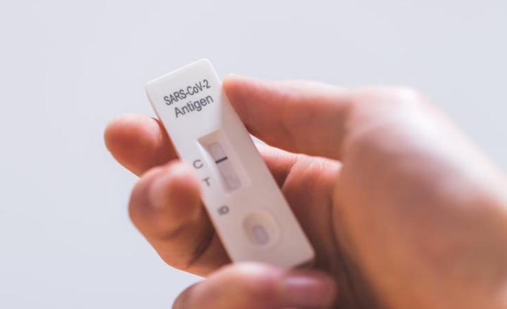 Rapid antigen tests rolled out at Auckland and Northland testing centres