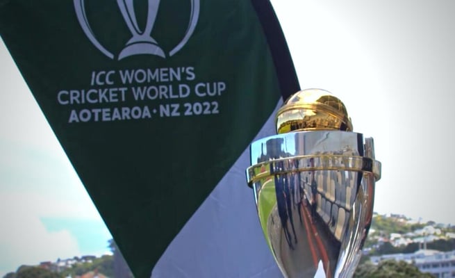 Cricket World Cup: How it all works and who to look out for