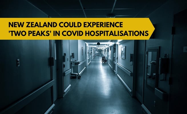 New Zealand could experience 'two peaks' in Covid hospitalisations - Plank