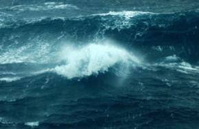Fijian man drowns in Wellington