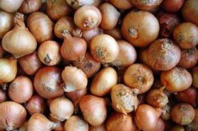 Food inflation climbs; Pranab ‘concerned’
