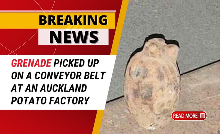 Grenade found among the spuds on chip factory conveyor belt