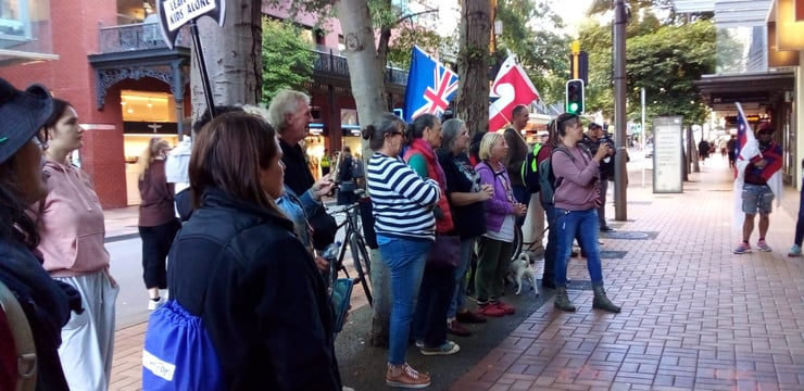 Protesters make a comeback in Wellington