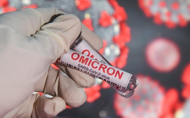 New versions of Omicron that may outpace BA.2 found