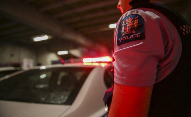 Auckland business hit by ram raid