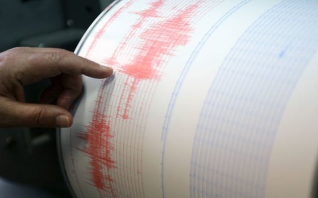 Earthquake shakes Wellingtonians awake