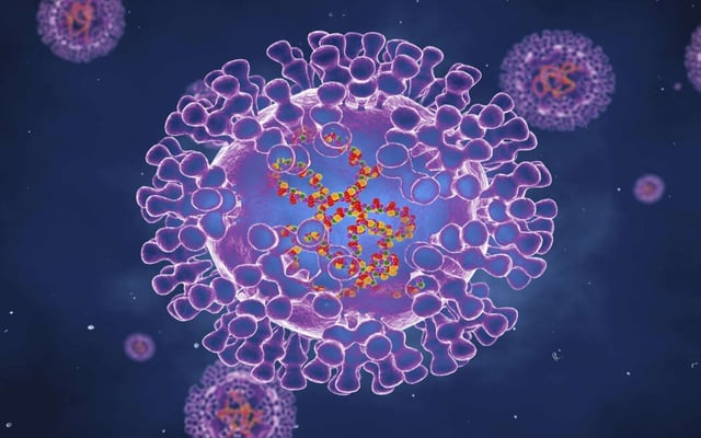 How concerned should we be about monkeypox?