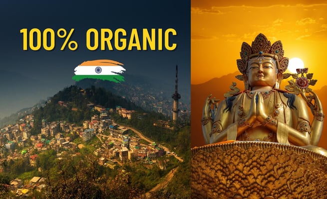 Sikkim recognized as World's First Organic and crime-free state
