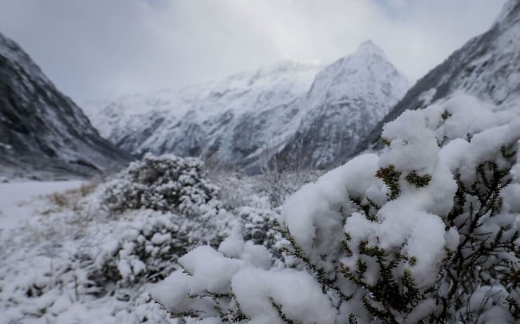 Weather: Heavy rain, snow, avalanche warnings for South Island
