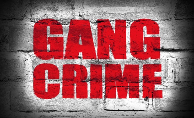Gang crackdown: National, Greens unimpressed, expert approves 'measured' approach