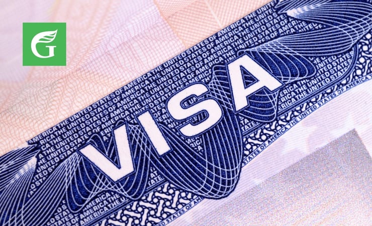 Greens call for overhaul of ‘double standards’ in investor category visa