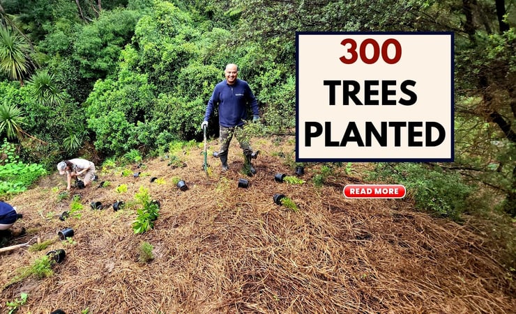 Three hundred trees planted by locals in Henderson