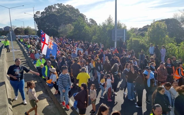 Anti-government protesters stroll onto Auckland motorway