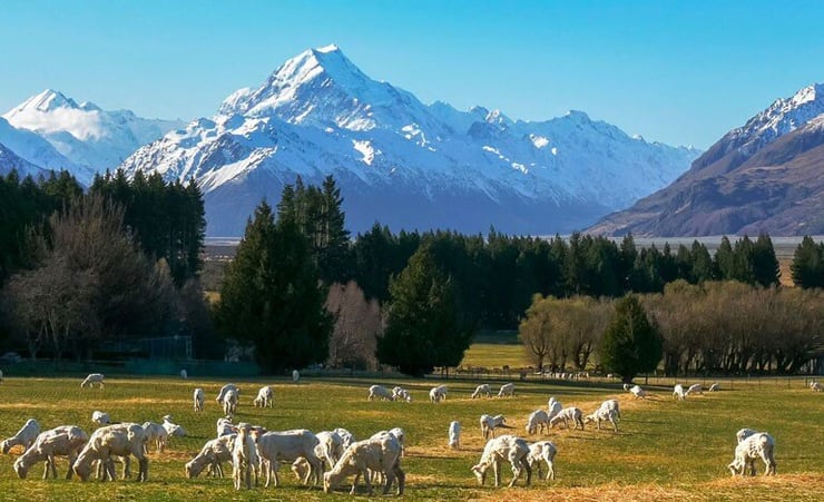 New Zealand provides an incredible array of targets for your lens