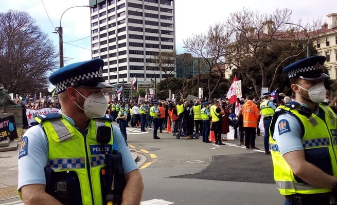 Tamaki hijacks Parliament protest movement