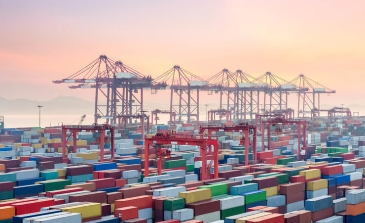 Headaches for exporters will continue, warns global shipping expert