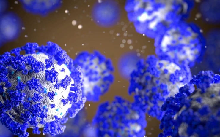 New XBB variant of Covid-19 detected in New Zealand