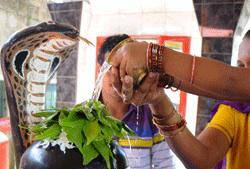 Hindus in Fiji mark Shivratri