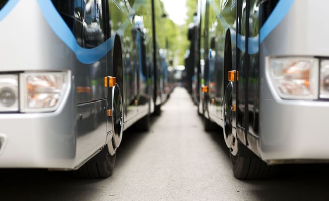 Council-managed buses carry National Party advertising